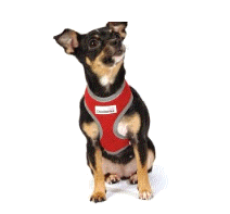 cocco2a2a1a2a1a1a1a1a1a1a1b1b1a1b1b1a