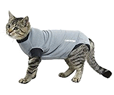 cocco2a2a1a2a1a1a1a1a1a1a1b1b1a1c1a1a1a1a1a1a1a1a1a1b1a1a