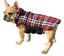 cocco2a2a1a2a1a1a1a1a1a1a1b1b1a1c1a1a1a1a1a1a1a1a1a1b1a1a1a