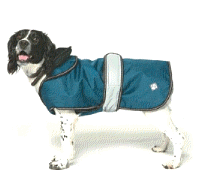 cocco2a2a1a2a1a1a1a1a1a1a1b1b1a1b1a1a1