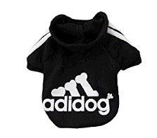 cocco2a2a1a2a1a1a1a1a1a1a1b1b1a1c1a1a1a1a1a1a1a1a1a1b1a1a1