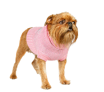 cocco2a2a1a2a1a1a1a1a1a1a1b1b1a1c1a1a1a1a1a1a1a1