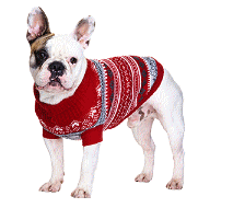 cocco2a2a1a2a1a1a1a1a1a1a1b1b1a1c1a1a1a1a1a1a1