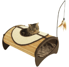 cocco2a2a1a2a1a1a1a1a1a1a1b1b1a1c1a1a1a1a1a1a1a1a1a1b1a1a1a1a