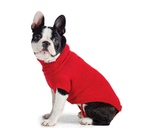 cocco2a2a1a2a1a1a1a1a1a1a1b1b1a1c1a1a1a1a1a1a1a1a1a1b1a1a1a1b1a