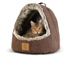 cocco2a2a1a2a1a1a1a1a1a1a1b1b1a1c1a1a1a1a1a1a1a1a1a1b1a1a1a1