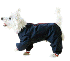 cocco2a2a1a2a1a1a1a1a1a1a1b1b1a1c1a1a1a1a1a1a1a1a1a1b1a1a1a1b