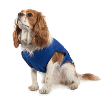 cocco2a2a1a2a1a1a1a1a1a1a1b1b1a1c1a1a1a1a1a1a1a1a1a1b1a1a1a1b1