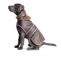 cocco2a2a1a2a1a1a1a1a1a1a1b1b1a1c1a1a1a1a1a1a1a1a1a1b1a1a1a1b1a1