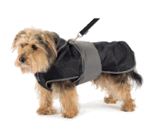 cocco2a2a1a2a1a1a1a1a1a1a1b1b1a1c1a1a1a1a1a1a1a1a1a1b1a1a1a1b1a1a2