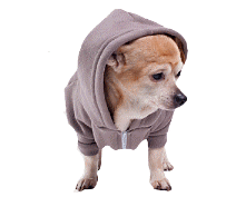 cocco2a2a1a2a1a1a1a1a1a1a1b1b1a1d1a2a