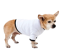 cocco2a2a1a2a1a1a1a1a1a1a1b1b1a1d1