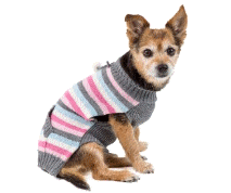 cocco2a2a1a2a1a1a1a1a1a1a1b1b1a1c1a1a1a1a1