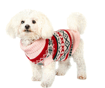 cocco2a2a1a2a1a1a1a1a1a1a1b1b1a1c1a1a1a1