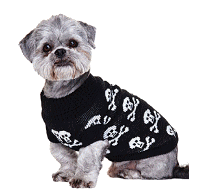 cocco2a2a1a2a1a1a1a1a1a1a1b1b1a1c1a1a1a1a1a1a