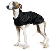 cocco2a2a1a2a1a1a1a1a1a1a1b1b1a1c1a1a1a1a1a1a1a1a1a1b1a1a1a1b1a1a1