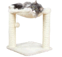 cocco2a2a1a2a1a1a1a1a1a1a1b1b1a1c1a1a1a1a1a1a1a1a1a1b1a1a1a1b1a1a2a1