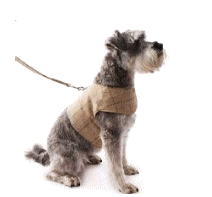 cocco2a2a1a2a1a1a1a1a1a1a1b1b1a1b1b1