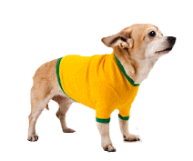 cocco2a2a1a2a1a1a1a1a1a1a1b1b1a1d1a2