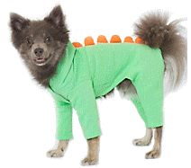 cocco2a2a1a2a1a1a1a1a1a1a1b1b1a1d1a2a1a