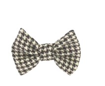 cocco2a2a1a2a1a1a1a1a1a1a1b1b1a1a1a1b