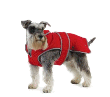 cocco2a2a1a2a1a1a1a1a1a1a1b1b1a1b1