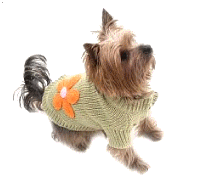 cocco2a2a1a2a1a1a1a1a1a1a1b1b1a1b1b1a1