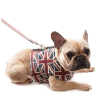 cocco2a2a1a2a1a1a1a1a1a1a1b1b1a1b1a1a1a1a1a