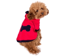 cocco2a2a1a2a1a1a1a1a1a1a1b1b1a1c1a1a1