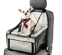 cocco2a2a1a2a1a1a1a1a1a1a1b1b1a1c1a1a1a1a1a1a1a1a1a