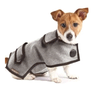 cocco2a2a1a2a1a1a1a1a1a1a1b1b1a1b1a1