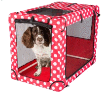 cocco2a2a1a2a1a1a1a1a1a1a1b1b1a1c1a1a1a1a1a