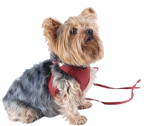 cocco2a2a1a2c1a1a1a1a1a2a1a1a1a1a1a1a1a2c1a1a1a2c1a