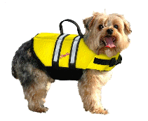 cocco2a2a1a2c1a1a1a1a1a2a1a1a1a1a1a1a1a2c1a