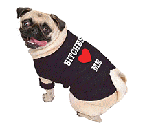 cocco2a2a1a2c1a1a1a1a1a2a1a1a1a1a1a1a1a2c1a1a