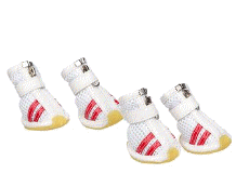 cocco2a2a1a2c1a1a1a1a1a2a1a1a1a1a1a1a1a2c1a1a1a1a