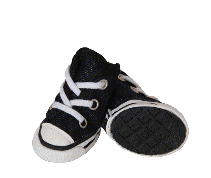 cocco2a2a1a2c1a1a1a1a1a2a1a1a1a1a1a1a1a2c1a1a1