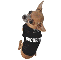 cocco2a2a1a2c1a1a1a1a1a2a1a1a1a1a1a1a1a2c1a1a1a1