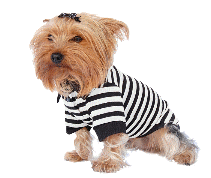 cocco2a2a1a2c1a1a1a1a1a2a1a1a1a1a1a1a1a2c1a1a1a2