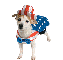 cocco2a2a1a2c1a1a1a1a1a2a1a1a1a1a1a1a1a2c1a1a1a2c1a1a1