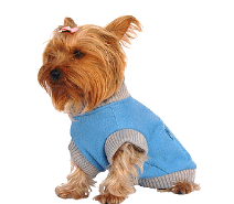 cocco2a2a1a2c1a1a1a1a1a2a1a1a1a1a1a1a1a2c1a1a1a2c