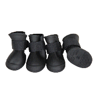 cocco2a2a1a2c1a1a1a1a1a2a1a1a1a1a1a1a1a2c1a1