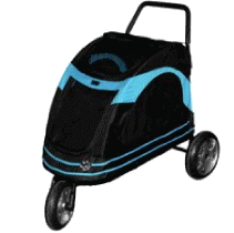 cocco2a2a1a2c1c1a1a1a1a1a1a1b1a4a1