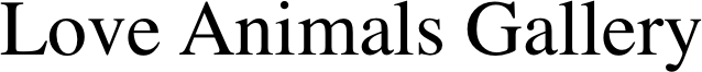 Love Animals Gallery