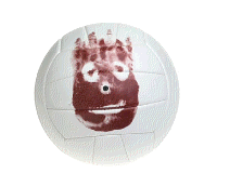 cocco2a2a1a2a1a1a1a1a1a1a1b1b1a1b1