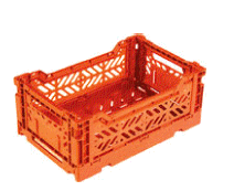 cocco2a2a1a2c1a2a1a1a1a1a1a1a1a1a1a1a1b2a1a1a1a2