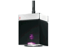 cocco2a2a1a2c1a2a1a1a1a1a1a1a1a1a1a1a1b2c1a1b1