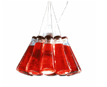 cocco2a2a1a2c1a2a1a1a1a1a1a1a1a1a1a1a1b1b1