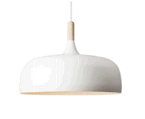 cocco2a2a1a2c1a2a1a1a1a1a1a1a1a1a1a1a1b1a1a1a1a1a1