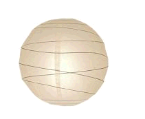 cocco2a2a1a2c2a1a1a1a1a1b2